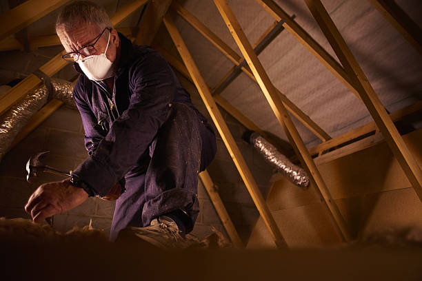 Best Commercial Insulation in Pembroke, VA